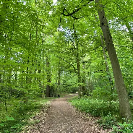 Ferienapartment Am Urwald