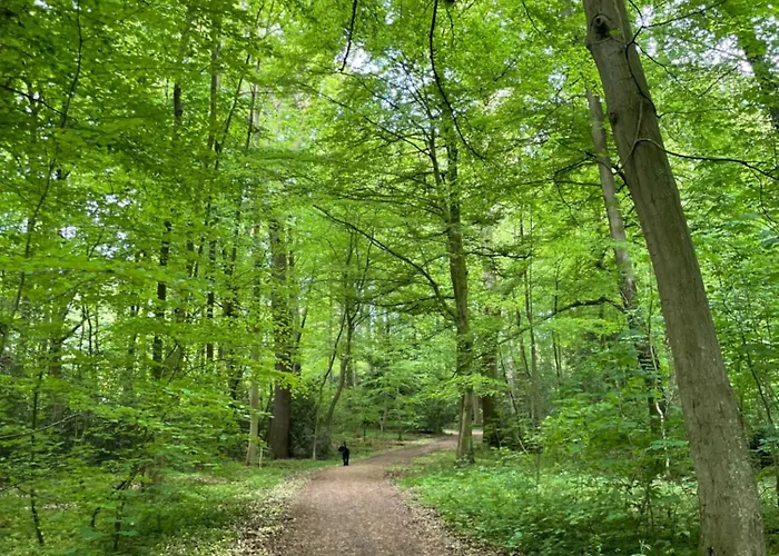 Ferienapartment Am Urwald
